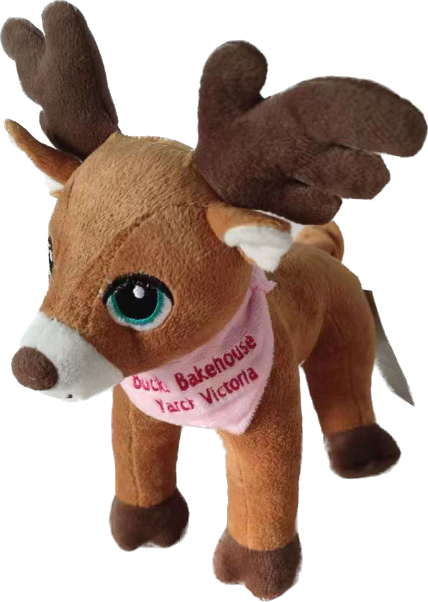 Bucks Teddy