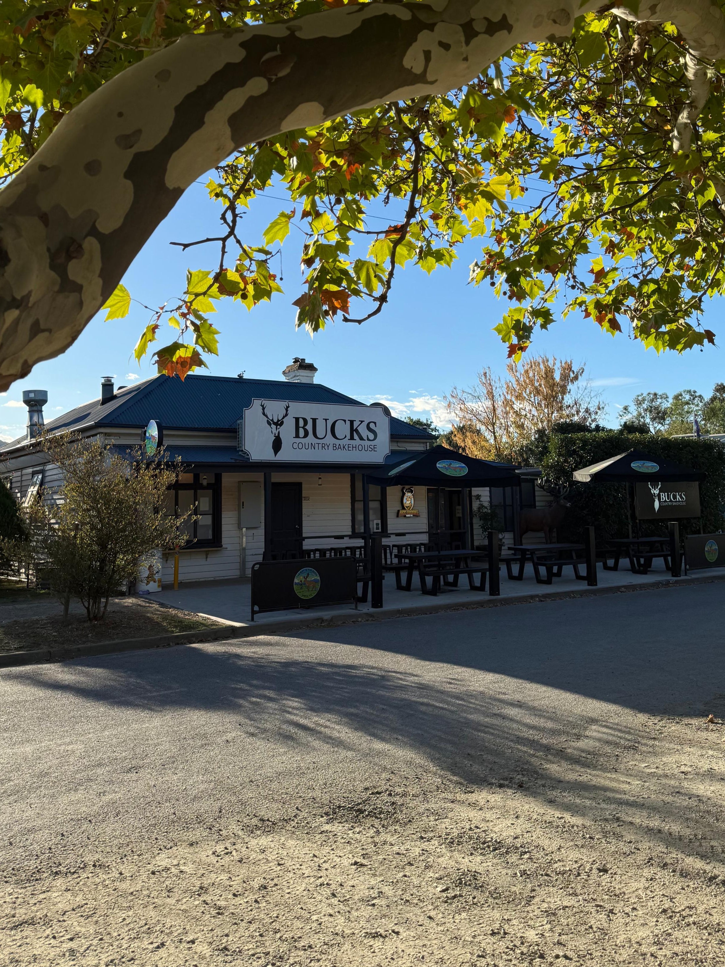 Restaurant named 'Buck's' under a tree with a clear sky
